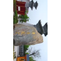 风景合集2904