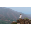 风景合集2914
