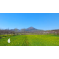 风景合集2916