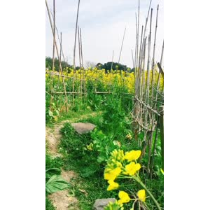 风景合集2952