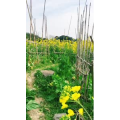 风景合集2952