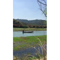 风景合集2958