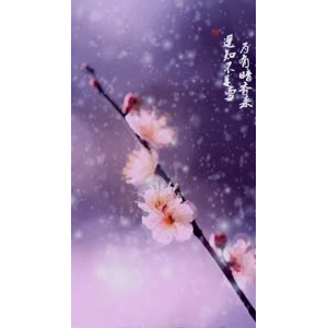 风景合集3311