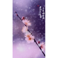 风景合集3311