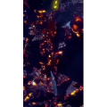 风景合集3313