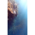 风景合集4207