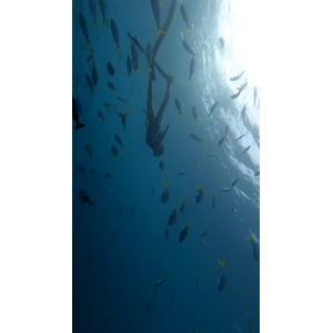 风景合集4222
