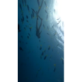 风景合集4222