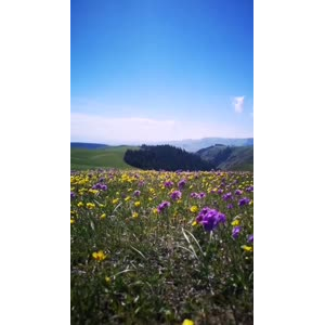 风景合集4261
