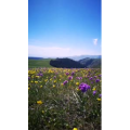 风景合集4261