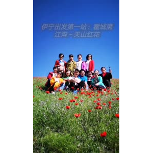 风景合集4275