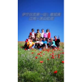 风景合集4275