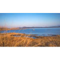 风景合集4299