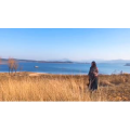 风景合集4304