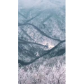 风景合集4306