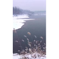 风景合集4333