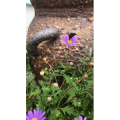 风景合集4397