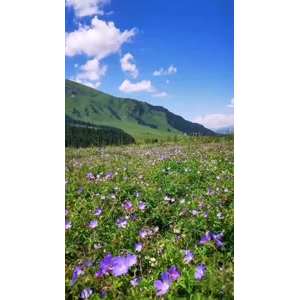 风景合集4419