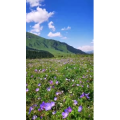 风景合集4419