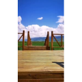 风景合集4431