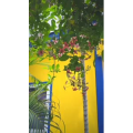 风景合集4480