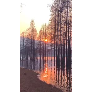 风景合集4484
