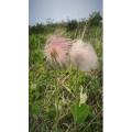 风景合集4519