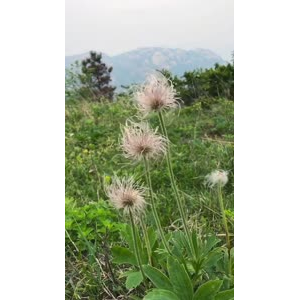 风景合集4521