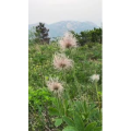 风景合集4521