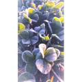 风景合集4539