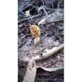 风景合集4555