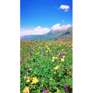 风景合集4565
