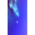 风景合集4587