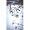 风景合集4632