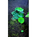 风景合集4637