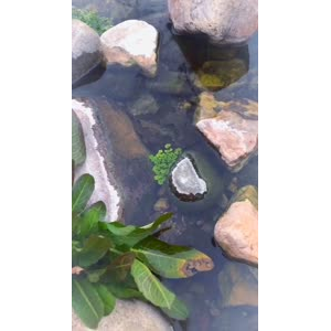 风景合集4642