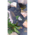 风景合集4642