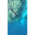 风景合集4662