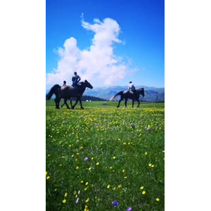 风景合集4669