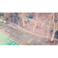 风景合集4819