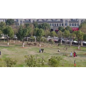 风景合集4833