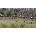 风景合集4833