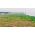 风景合集4862