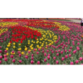 风景合集4871