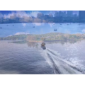 风景合集4875