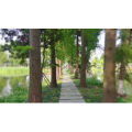 风景合集4901
