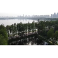 风景合集4909