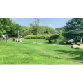 风景合集4918