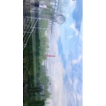 风景合集4942