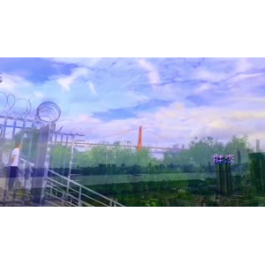 风景合集4950